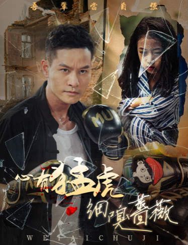 心有猛虎细嗅蔷薇 第41-60集