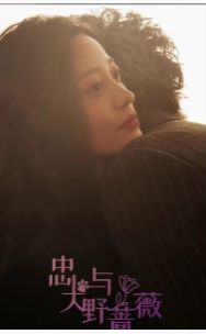 忠犬与野蔷薇 第1-20集