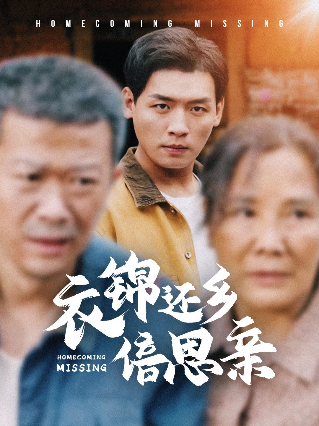 衣锦还乡倍思亲 第1-20集