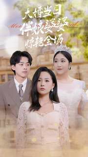 大婚当日伴娘婆婆惊艳全场 第21-30集完结(大结局)