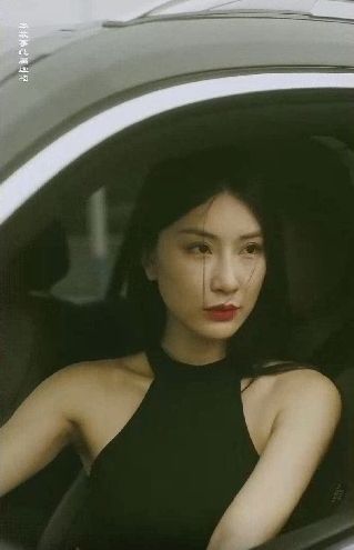 特工凤凰（绝色特工） 第1-20集