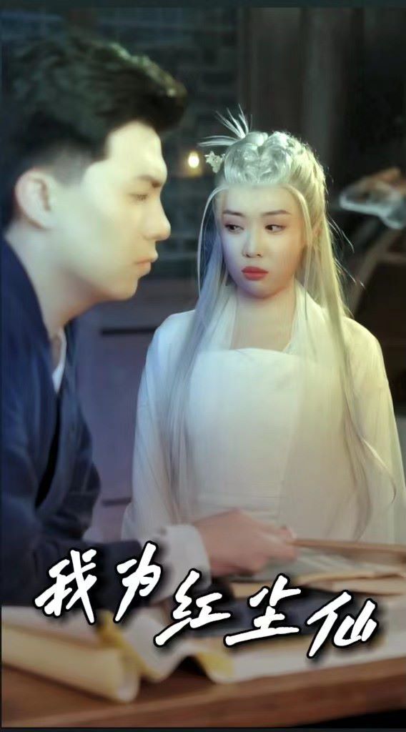 我为红尘仙 第21-40集