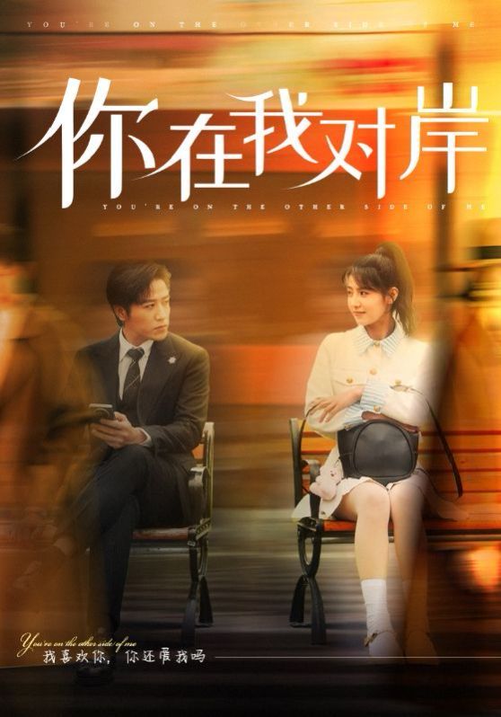 你在我对岸 第21-31集完结(大结局)