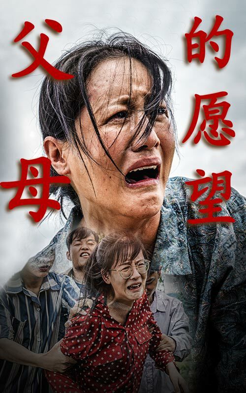 父母的愿望 第1-20集