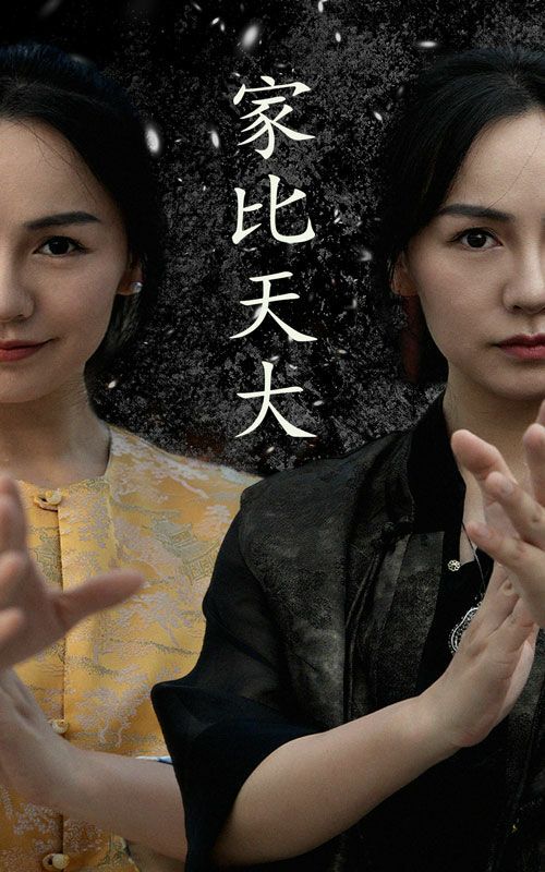 家比天大 第41-63集完结(大结局)