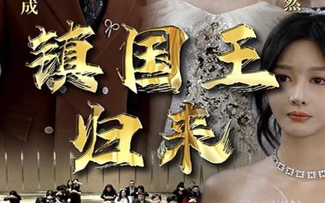 镇国王归来 全集(大结局)