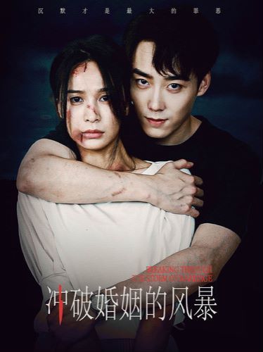 冲破婚姻的风暴 第1-20集
