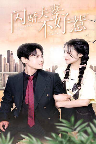 闪婚夫妻不好惹 第21-40集