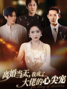 离婚当天我成了大佬的心尖宠 第1-20集