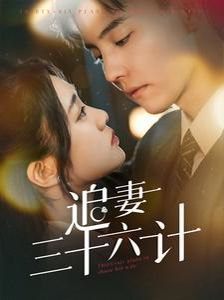 追妻三十六计 第61-82集完结(大结局)