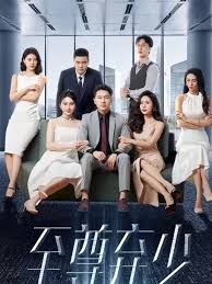 至尊弃少 全集(大结局)